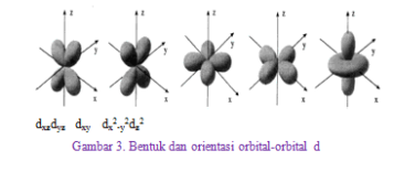 orbital d