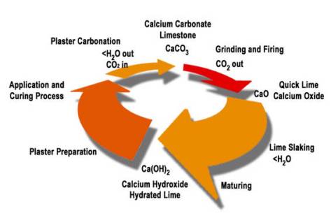 Siklus Kalsium Karbonat