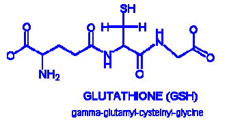 Jual L-Glutathione Original USA Murah